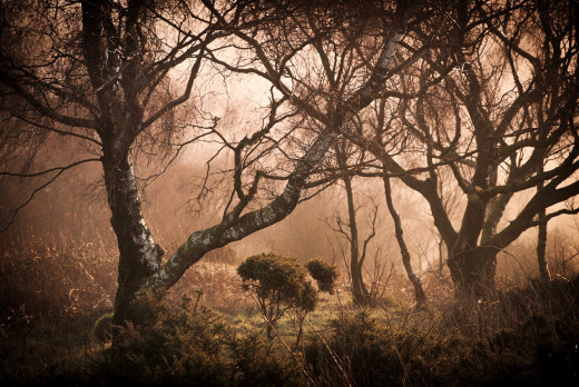 1755297 (a): :2048x1367